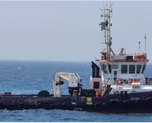 Skylift Marine Flore Workboat Tugboat